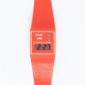 WCHRTRANS - The Transparent Watch